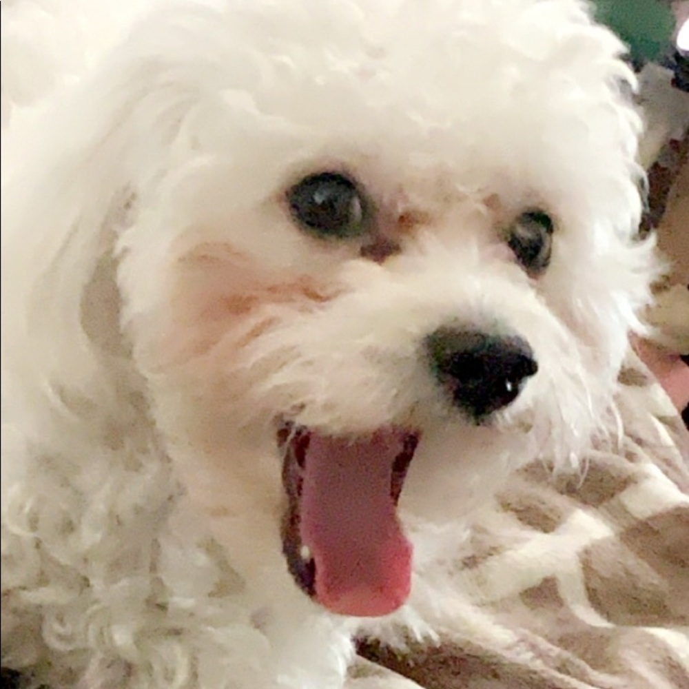 Meet your Posher, Kylie